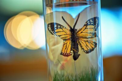 سُرل هتل سیدنهف