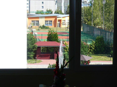ایسی استار