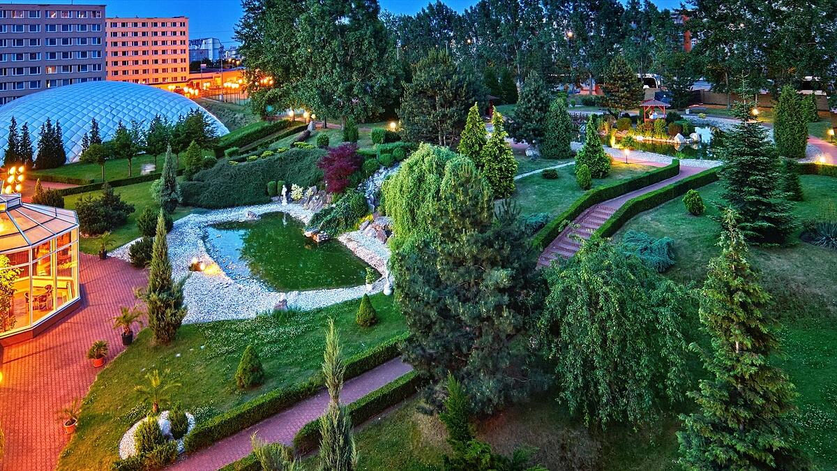 ایسی استار