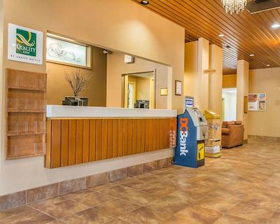 کوالیتی این اُن د هیل