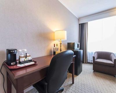 کوالیتی این اُن د هیل