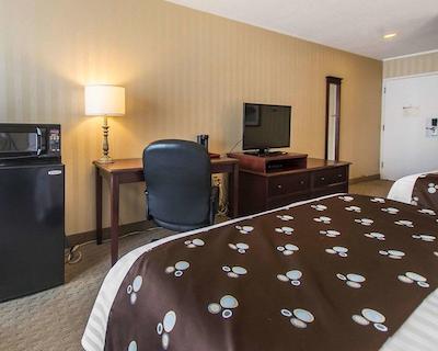 کوالیتی این اُن د هیل