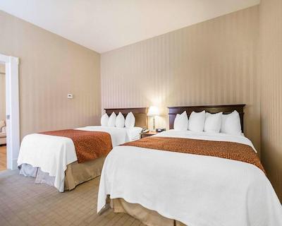 کوالیتی این اُن د هیل