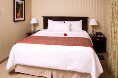 کوالیتی این اُن د هیل