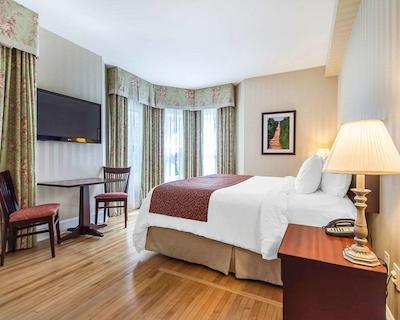 کوالیتی این اُن د هیل