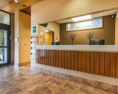 کوالیتی این اُن د هیل