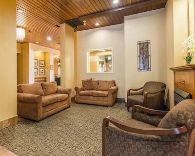 کوالیتی این اُن د هیل