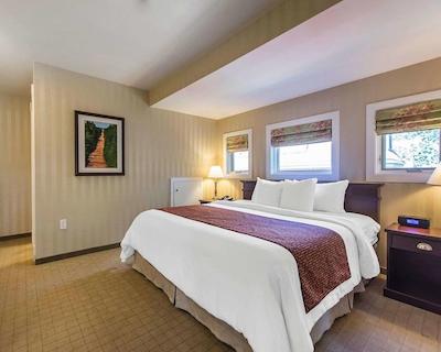 کوالیتی این اُن د هیل