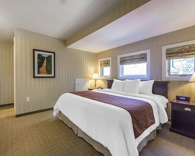 کوالیتی این اُن د هیل