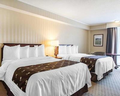 کوالیتی این اُن د هیل