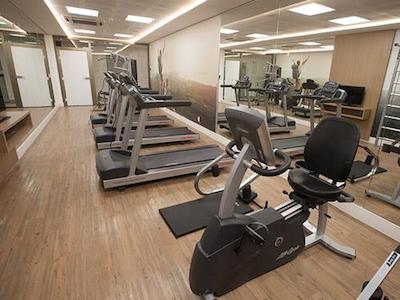 تولیپ این بلو هریزنت