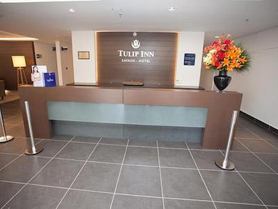 تولیپ این بلو هریزنت