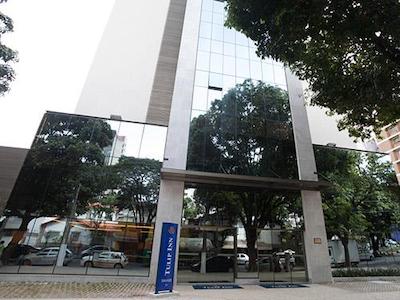 تولیپ این بلو هریزنت