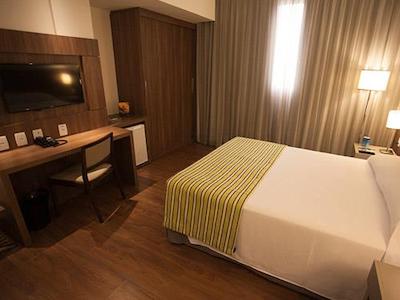 تولیپ این بلو هریزنت