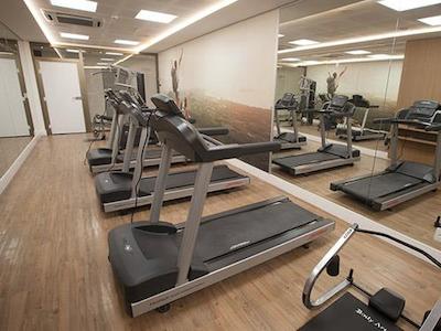 تولیپ این بلو هریزنت