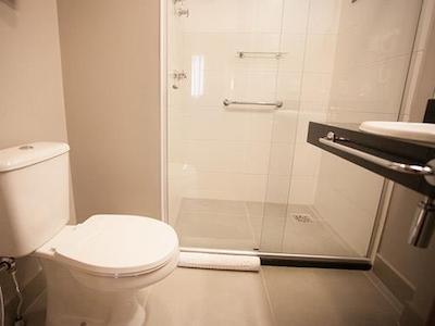 تولیپ این بلو هریزنت