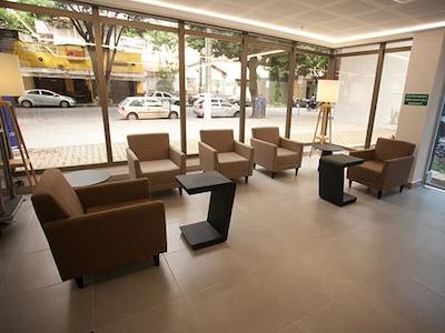 تولیپ این بلو هریزنت