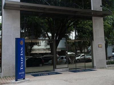 تولیپ این بلو هریزنت