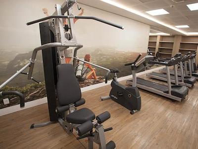 تولیپ این بلو هریزنت