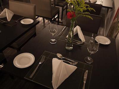 تولیپ این بلو هریزنت