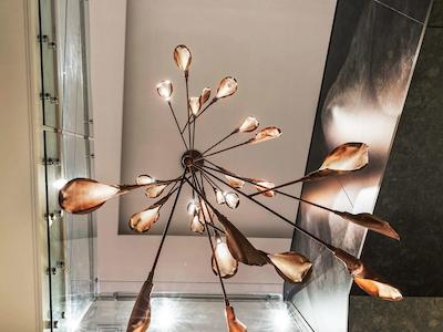 سُفیتل ولینگتون