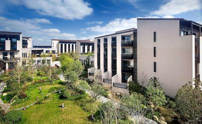 حیات ریجنسی چونمینگ