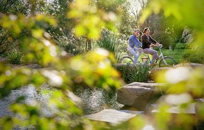 حیات ریجنسی چونمینگ