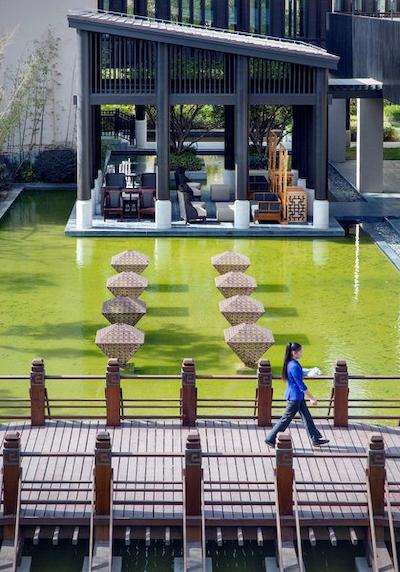 حیات ریجنسی چونمینگ