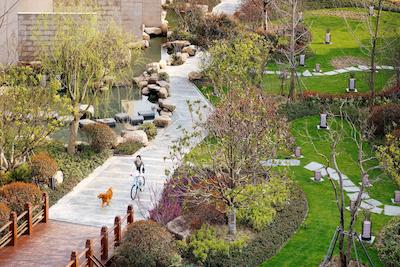 حیات ریجنسی چونمینگ