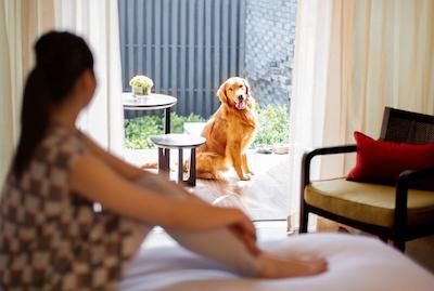 حیات ریجنسی چونمینگ