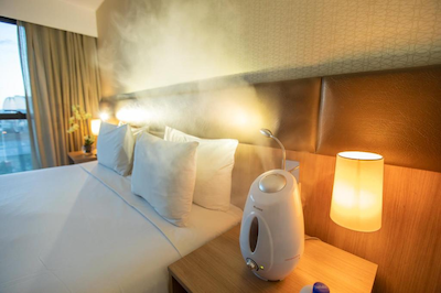 ادز بولکو هپلوز اکسکوتیو