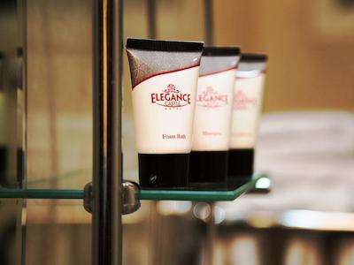 الگانس کسل هتل