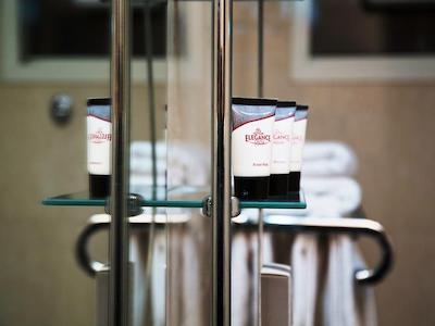 الگانس کسل هتل