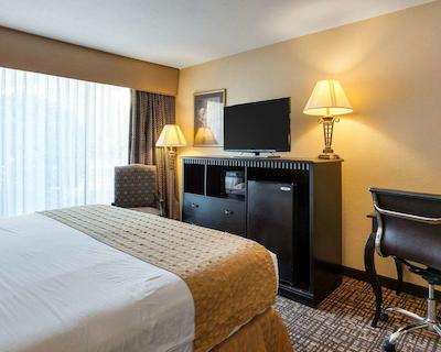 کوالیتی این نیر هامپتون کلیسوم