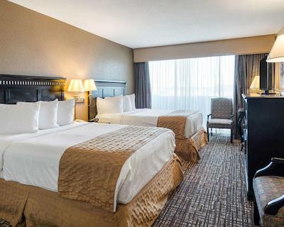 کوالیتی این نیر هامپتون کلیسوم