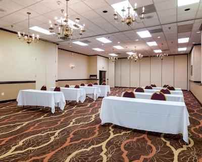 کوالیتی این نیر هامپتون کلیسوم