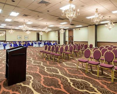 کوالیتی این نیر هامپتون کلیسوم