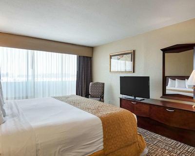 کوالیتی این نیر هامپتون کلیسوم