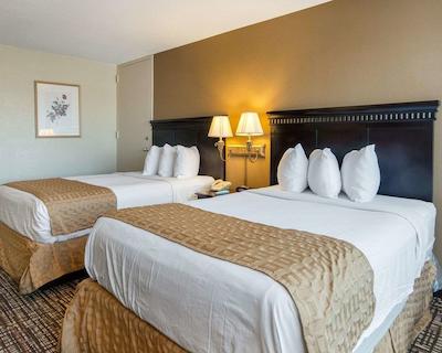 کوالیتی این نیر هامپتون کلیسوم