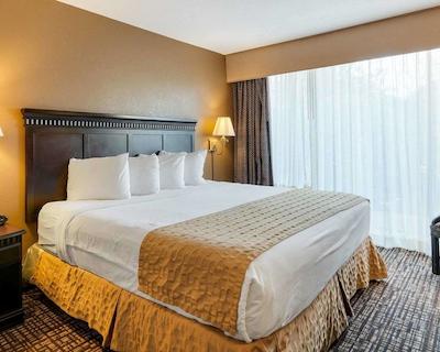 کوالیتی این نیر هامپتون کلیسوم