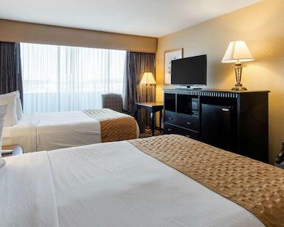 کوالیتی این نیر هامپتون کلیسوم