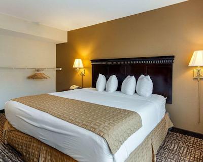 کوالیتی این نیر هامپتون کلیسوم