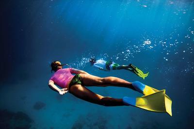 کرال تری این