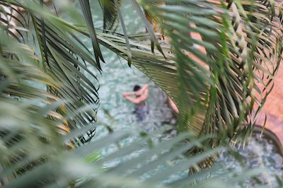 کرال تری این