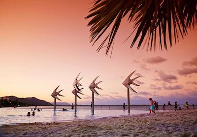 کرال تری این