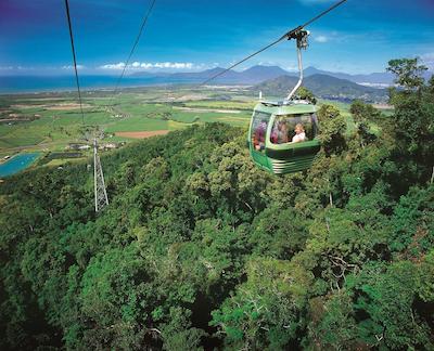 کرال تری این