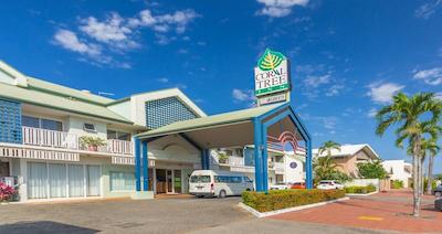 کرال تری این