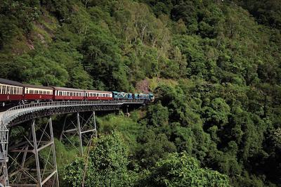 کرال تری این