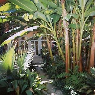 استریا گاردن