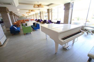 تورونک پرمیوم